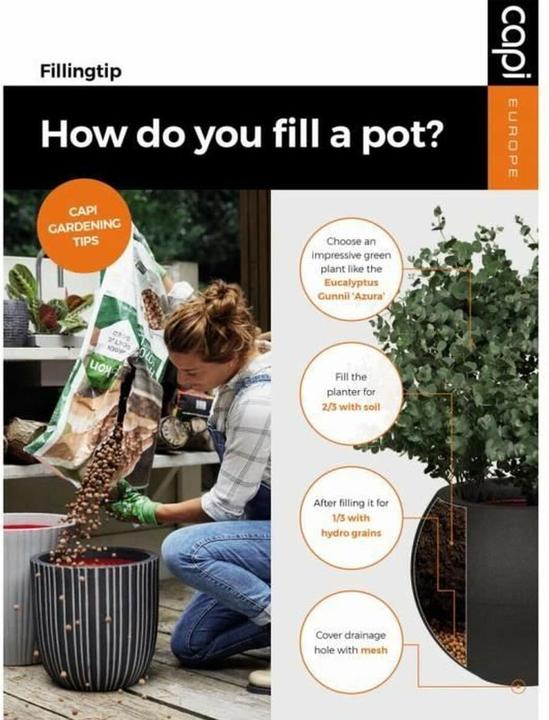 Produktbild Capi Tripp (46 x 58 cm)