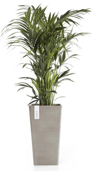 Produktbild Ecopots Rotterdam halbhoch (31 cm)