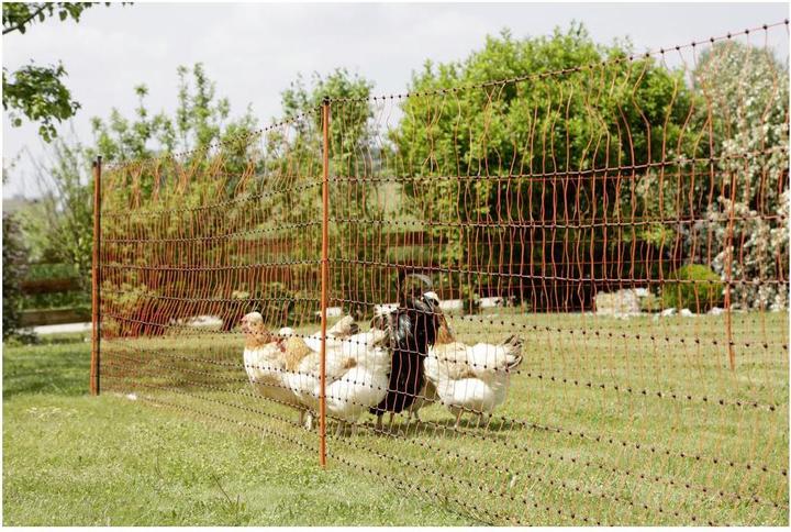 Produktbild AKO Unterstützungspfahl für Weidenetz