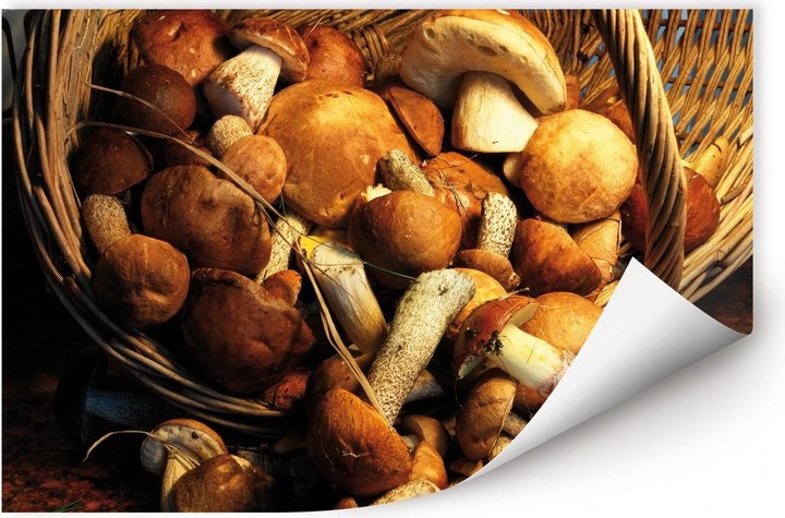 Image du produit Trenddeko Panier à champignons (60 x 40 cm)