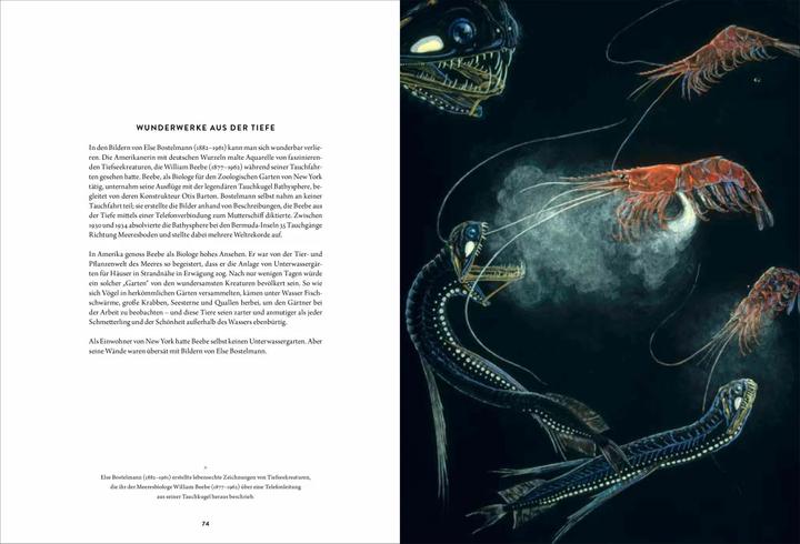 Produktbild Wunderkammer (Deutsch, Thijs Demeulemeester, 2018)