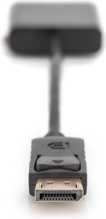 Actual product image Digitus DisplayPort — DVI (DVI, 15 cm)