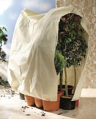 Image du produit Bio Green Jumbo