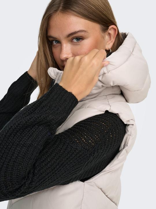 Image du produit JdY Jdyskylar Padded Hood Waistcoat Otw Noos (XL)