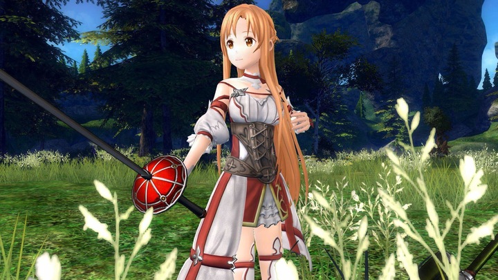 Actual product image Bandai Namco Sword Art Online: Hollow Realization (import) (PS4, EN)