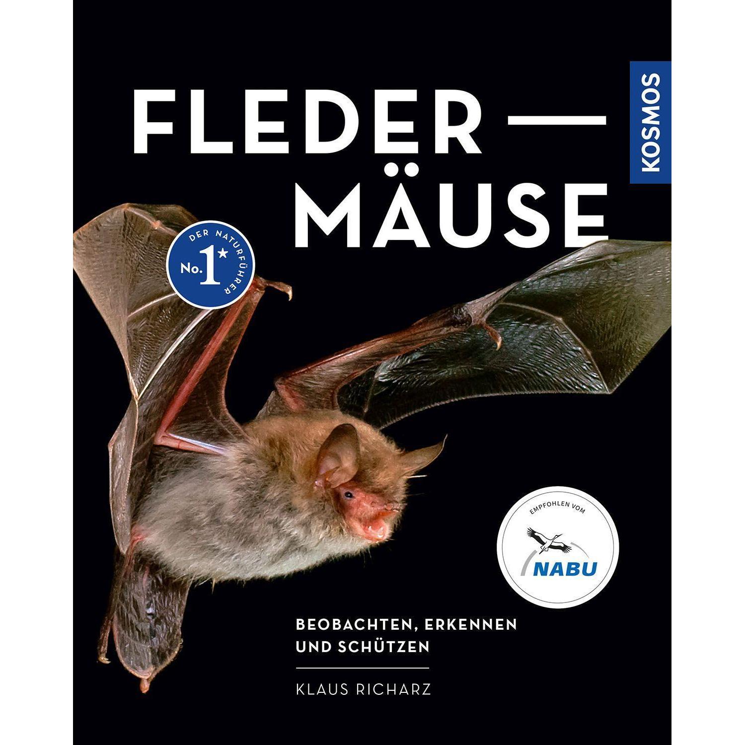 Thumbnail - Fledermäuse, Ratgeber von Klaus Richarz