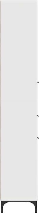 Image du produit vidaXL Armoire de salle de bains (33 x 31.50 x 190 cm)