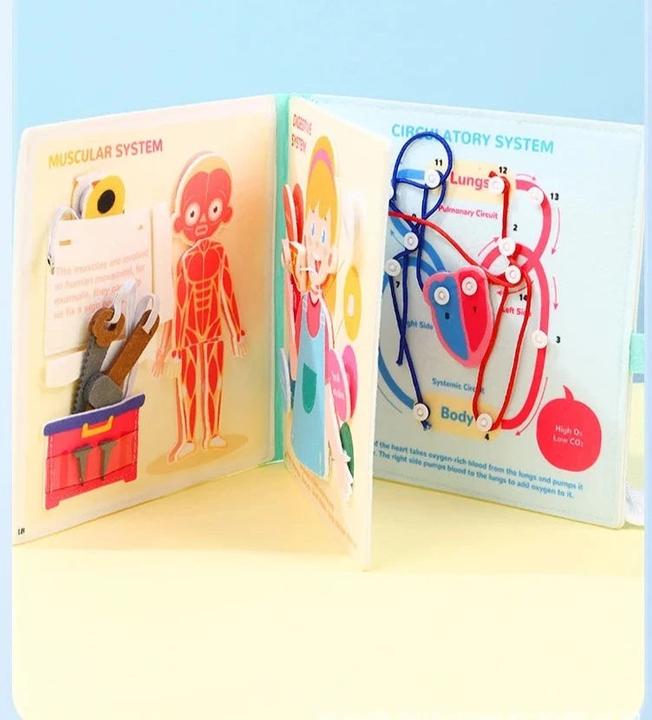 Immagine prodotto Activity Board Libro delle attività (Inglese)