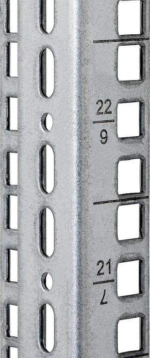 Triton RAX-VL-X12-X1 - Vertikale Montageleiste, 12 HE