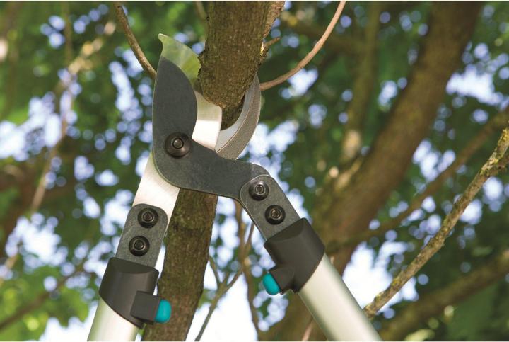 Actual product image Gardena Premium Astschere 700 B