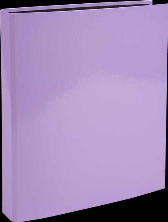 Exacompta Ringbuch (A4, 40 mm, 1 Stück)