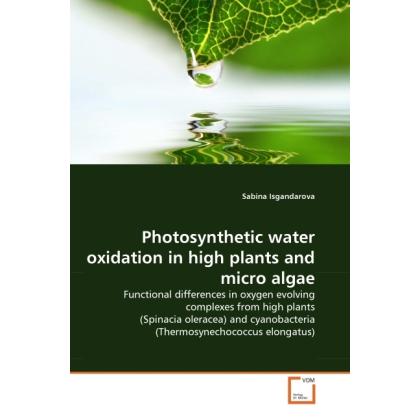 Photosynthetic water oxidation in high plants and micro algae, Fachbücher von Sabina Isgandarova