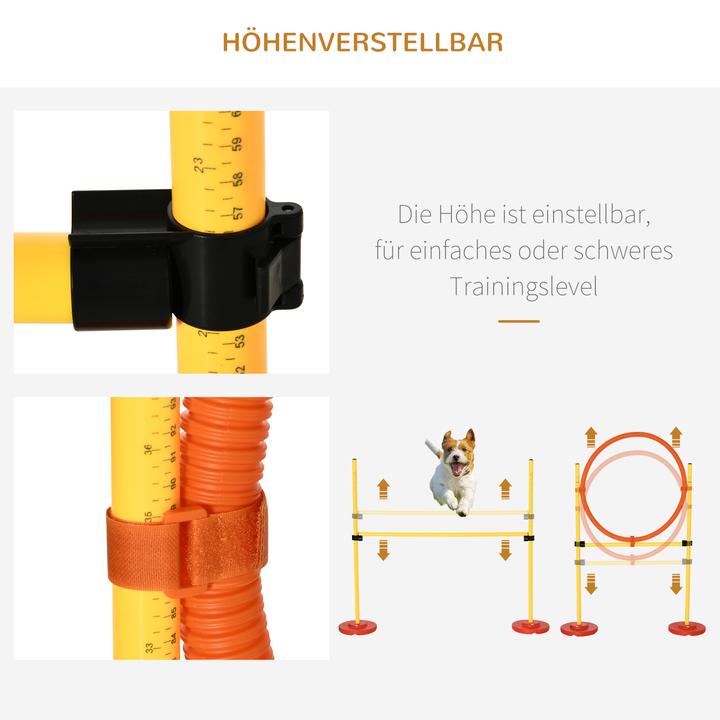 Immagine prodotto PawHut Set di agilità per 4 diverse varianti di allenamento (Destrezza)
