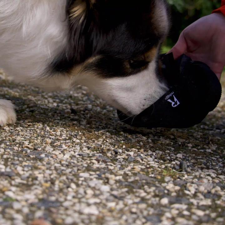 Image du produit Redoggo Futterdummy (Sac à friandises pour chien)
