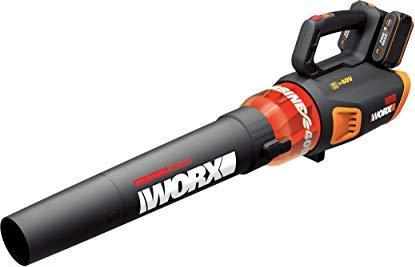 Actual product image Worx WG584E.9 (Rechargeable battery operated, Leaf blower)