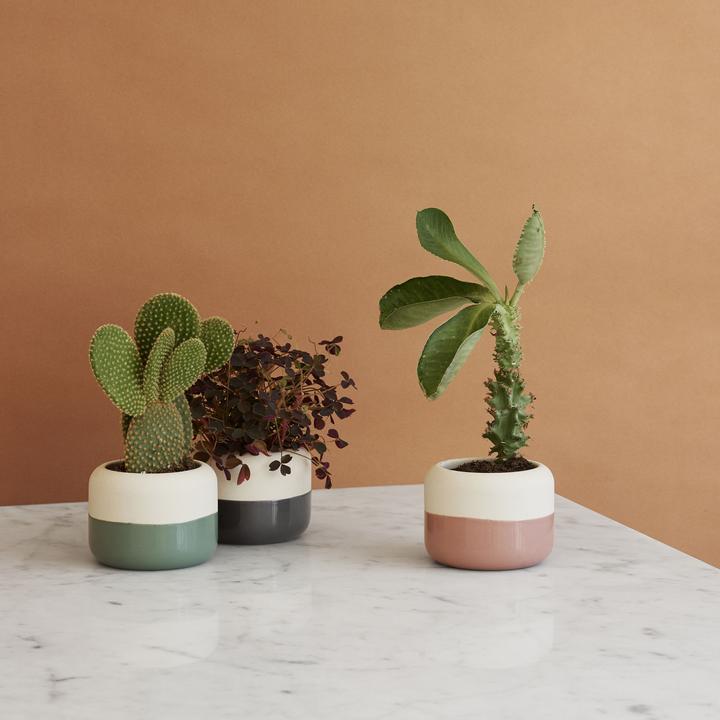 Image du produit Rig-Tig by Stelton Pot de fleurs "Plant-it (9 cm)