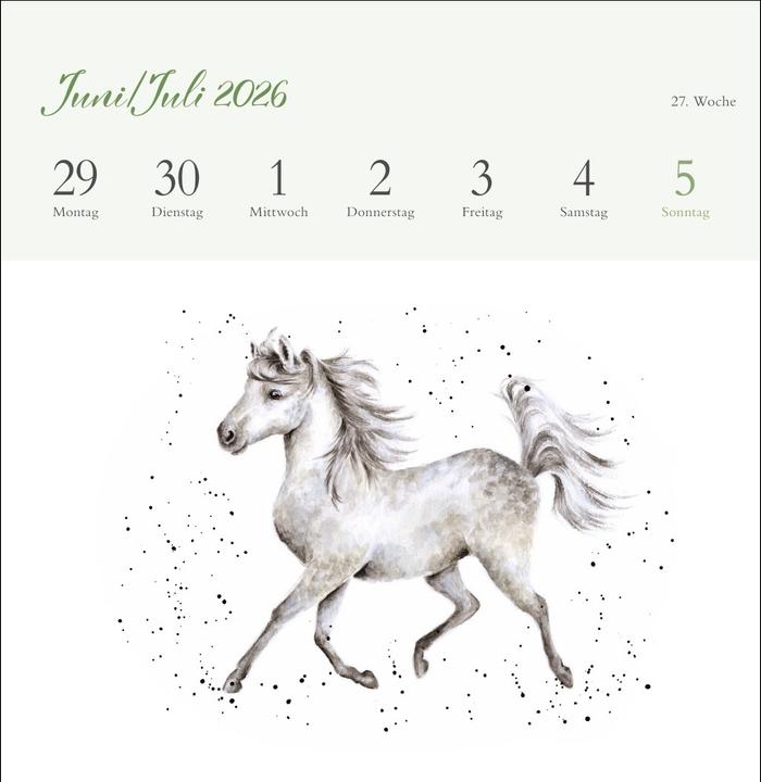 Produktbild Hannah Dale: Happy Animals Premium-Postkartenkalender 2026 (165 x 177 mm, Kein Einband, Deutsch)