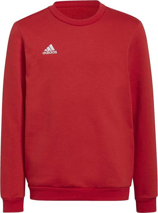 adidas Entrada 22 Sweatshirt Kinder