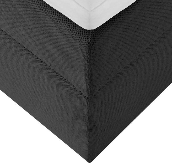 Immagine prodotto Livetastic Lorie (180 x 200 cm)