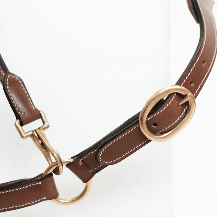 Image du produit TdeT Licol pour cheval en cuir avec plaque