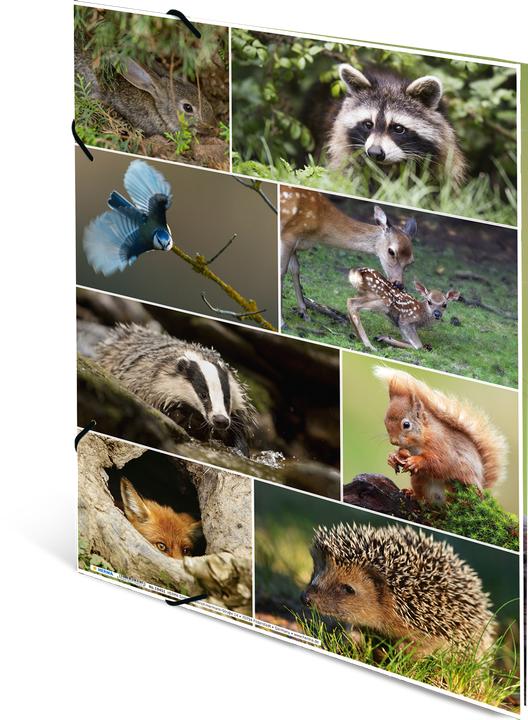 Produktbild HERMA Sammelmappe A3 Motiv (A3, 1x)