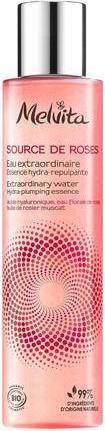 Produktbild Melvita Nectar de Lumiere Créme Perfectrice Eclat 50 ml (50 ml, 24h Creme)