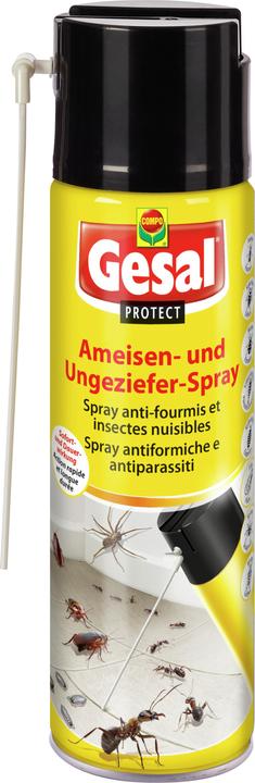 Produktbild Gesal PROTECT Ameisen- und Ungeziefer-Spray (500 ml)