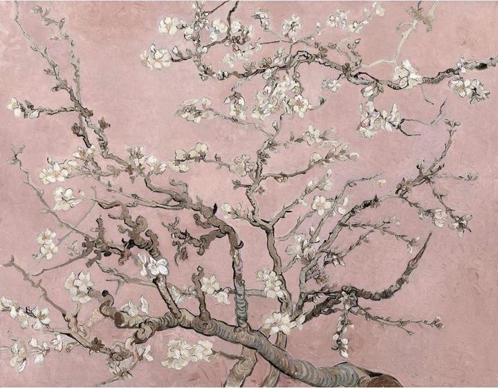 Produktbild Trenddeko van Gogh - Mandelblüte rosé (336 x 260 cm)