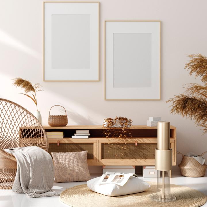 Image du produit Lightair IonFlow 2.0 Evolution Gold (50 m²)