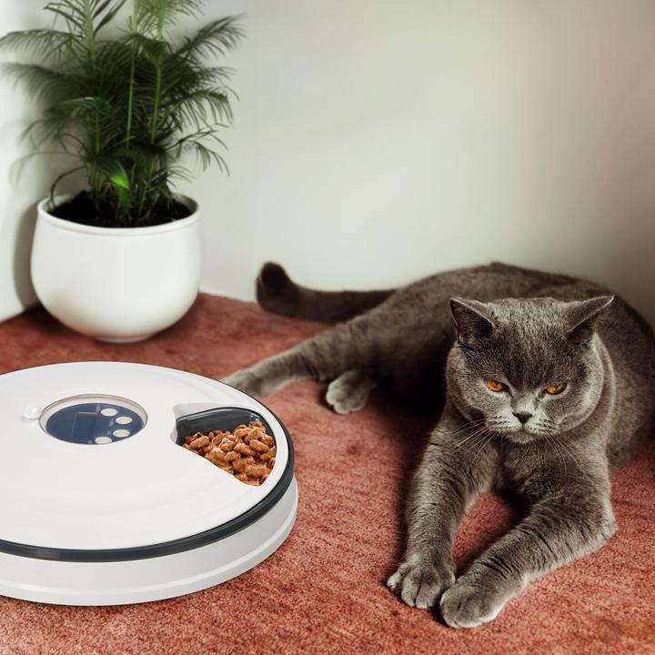 Actual product image Relaxdays Automatic feeder (1 l)