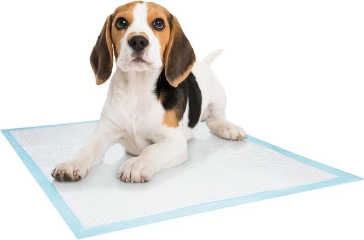 Produktbild Nobby Training Pads (Hund)