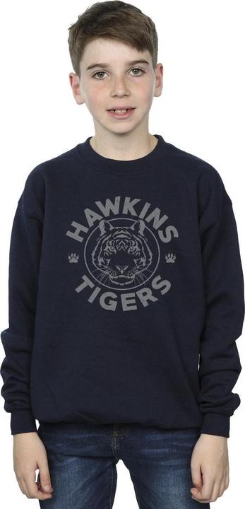 Actual product image Netflix Boys Stranger Things Hawkins Grey Tiger Sweatshirt (152, 158)