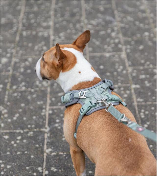 Immagine prodotto Trixie Premium FlexMesh harness, wide fit,S–M:48–69cm/20mm,sage (M, S, Cane, Generale)