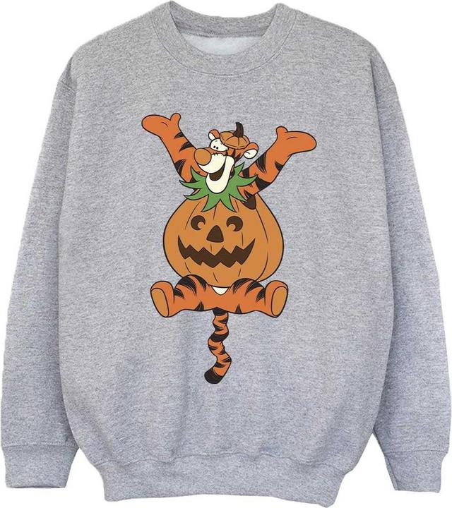 Produktbild Winnie the Pooh Sweatshirt Mädchen (140, 146)