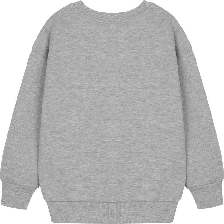 Immagine prodotto Paw Patrol Felpa Logo Bambini (98)