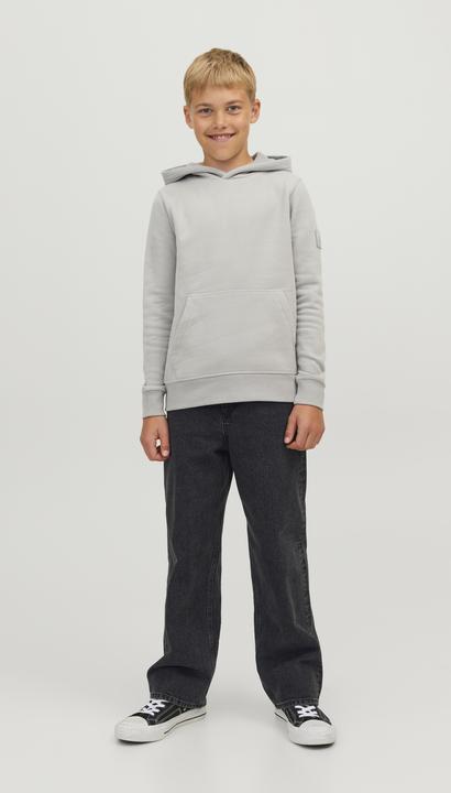 Produktbild Jack & Jones Boys Alex Original MF 823 Baggy Jeans (170)