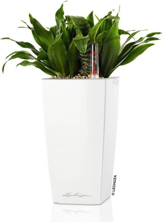 Produktbild Lechuza Mini Cubi (9.50 x 9.50 x 18.50 cm)