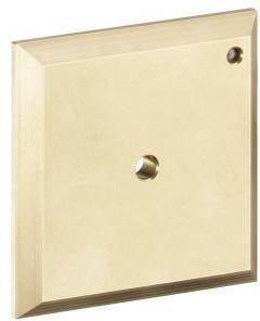 Actual product image hansgrohe HG flush plate ICONTROL chrome