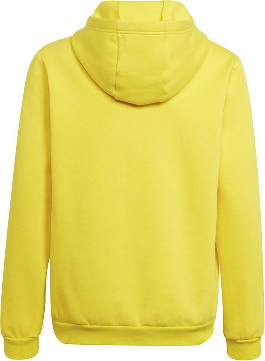 Actual product image adidas Entrada 22 hoodie kids (128)
