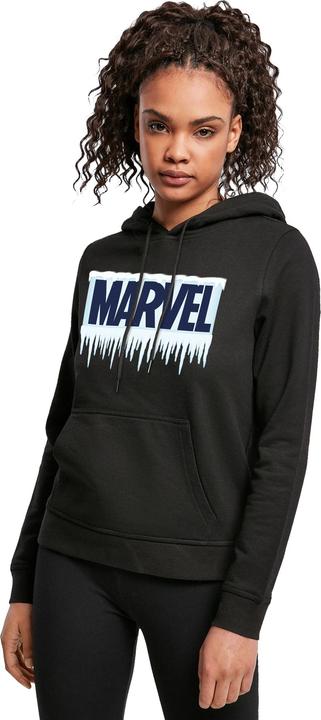 Produktbild Icicle Logo Kapuzenpullover (XXL)