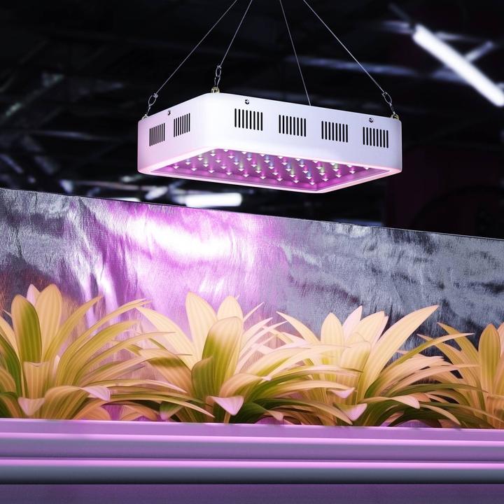 Actual product image Hillvert LED Grow Light- 600 W - 3,000 lumens (LED, 265 V)