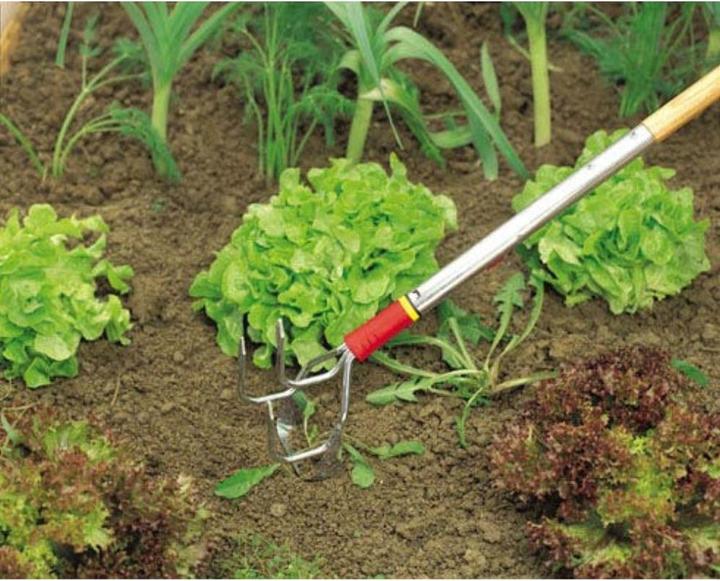 Produktbild Wolf-Garten Krümmerjäter