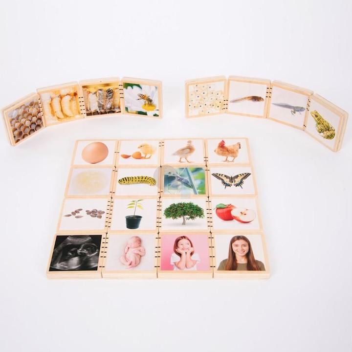 Actual product image TickiT Wooden life sequence picture tiles