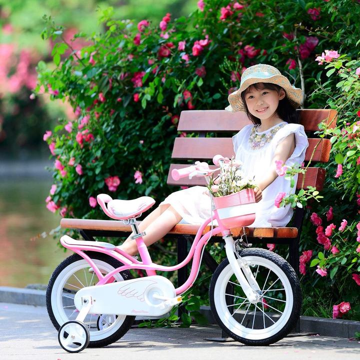 Produktbild Royal Baby Cigno Piccolo (18")