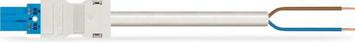 Actual product image Wago confect. Connection cable (2 m)