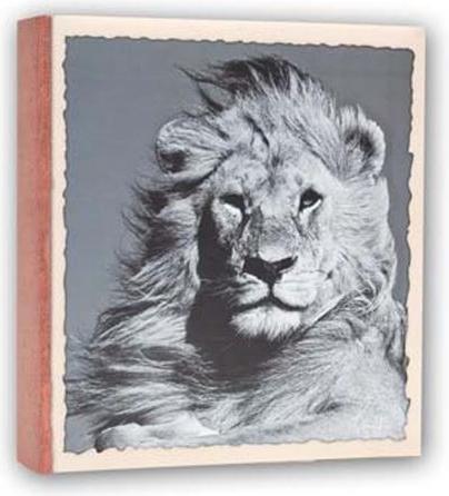 Productafbeelding ZEP WL57100 Album Slip-in 100 foto's 13x19 cm - 12 albums (13 x 19 cm)
