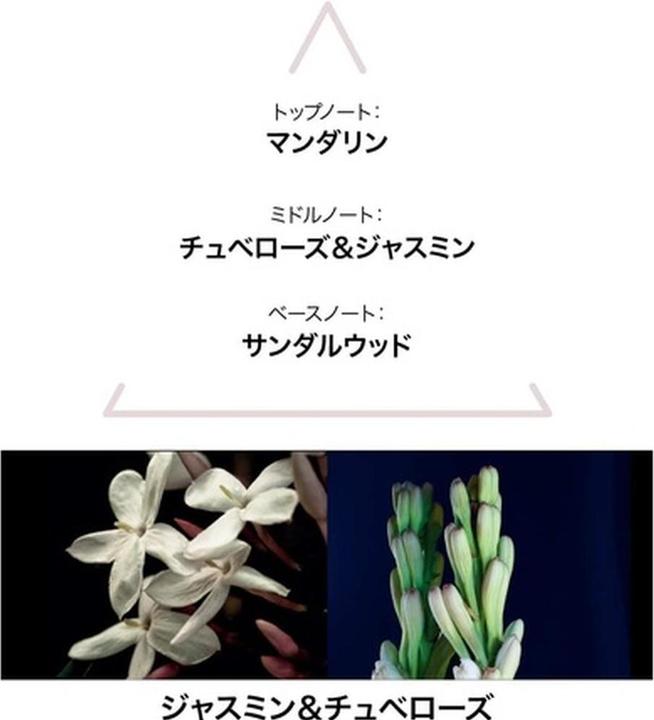 Produktbild Le Couvent Botanical Cologne Aqua Sacrae EDT 50 ml (Eau de Cologne, 50 ml)