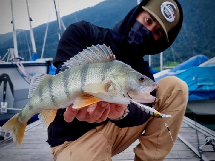 Actual product image Stucki Thun Ludic Drive 65 SP (6.50 cm)