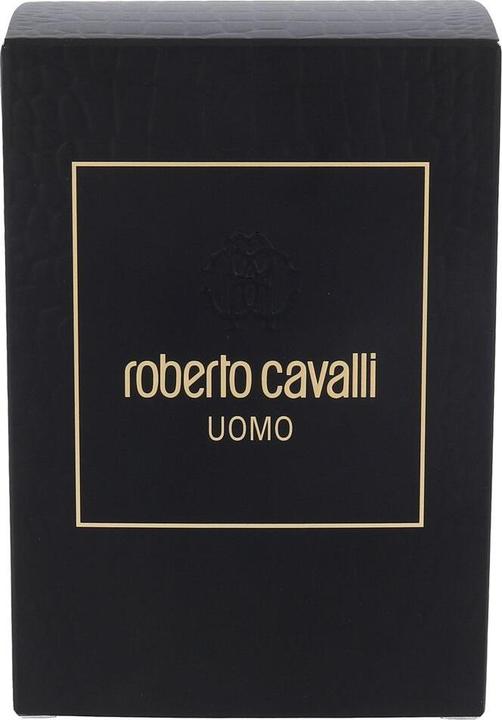 Image du produit Roberto Cavalli Cavalli Uomo Eau de Toilette (re) (Eau de toilette, 100 ml)