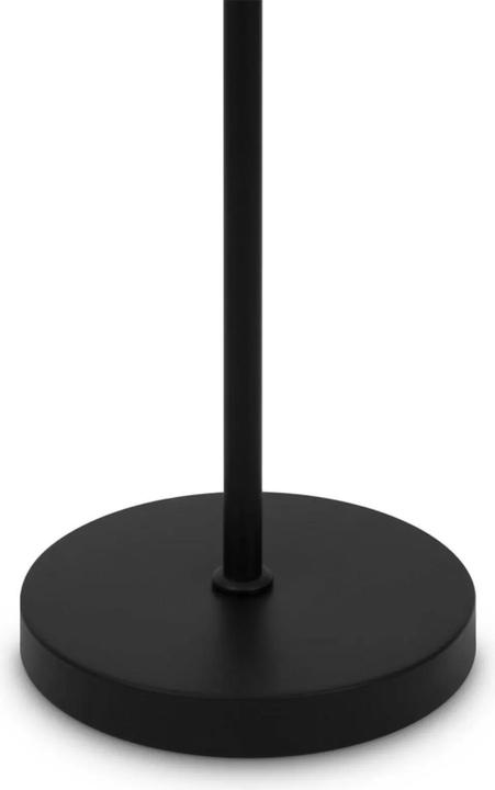 Actual product image Maytoni Ring Floor Lamp, Floor Lamp E27 Black (E27)
